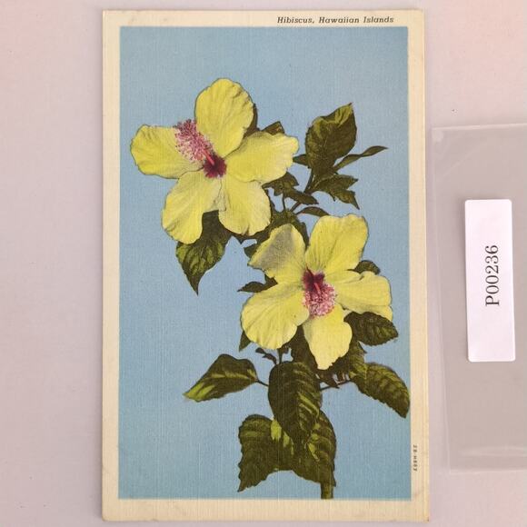 Vintage Hibiscus Hawaiian Islands Hawaii Linen Postcard 1930s Flower Floral - Picture 1 of 2